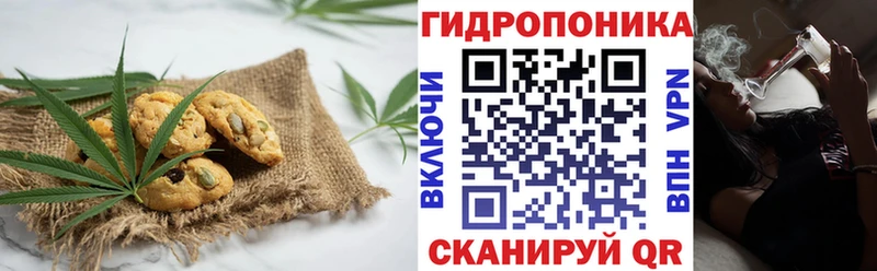 Купить закладки  Уржум  Canna-Cookies конопля 