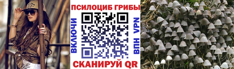 Псилоцибиновые грибы MAGIC MUSHROOMS Купить Уржум